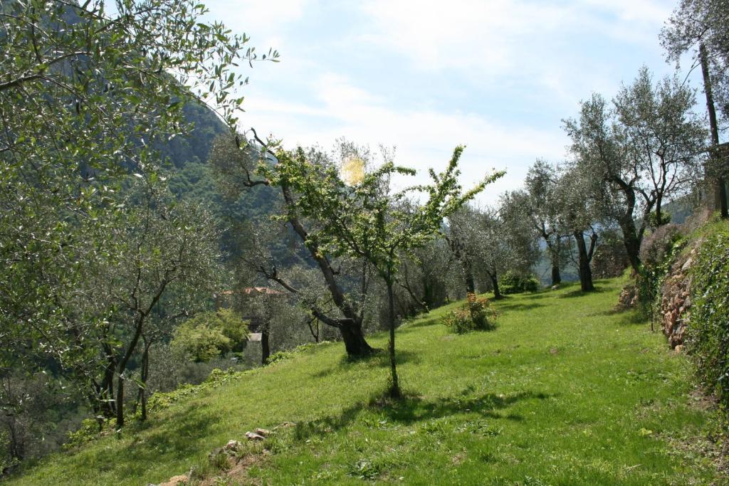 Gite Roya Mercantour Breil-sur-Roya Exterior foto