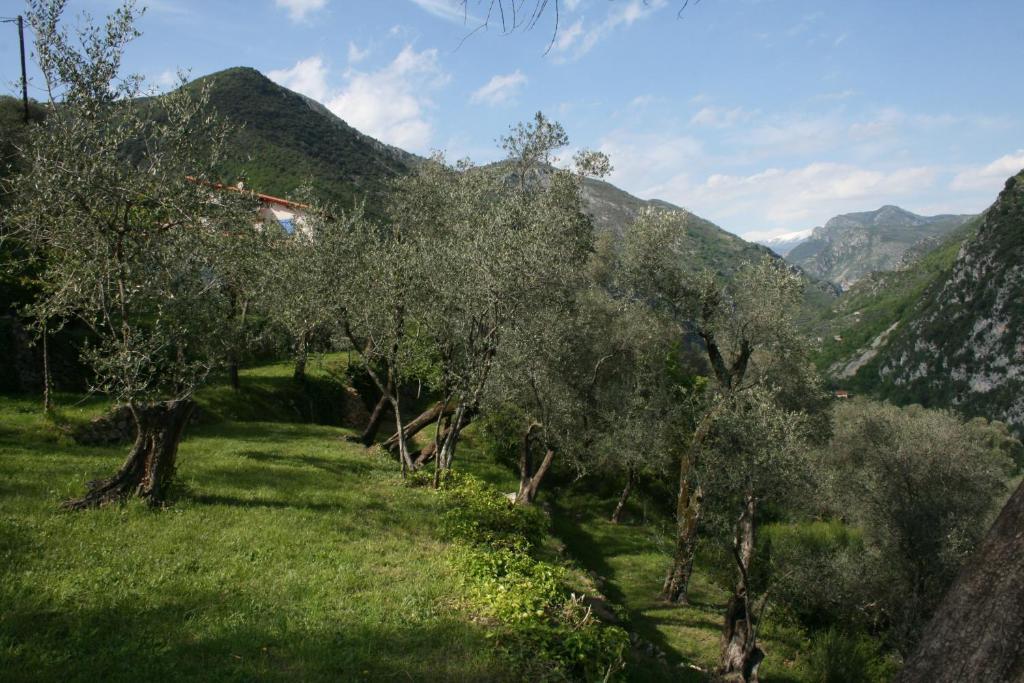 Gite Roya Mercantour Breil-sur-Roya Exterior foto